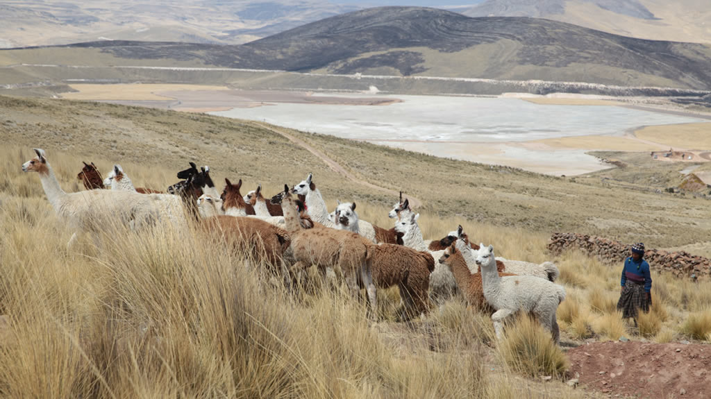 Desde las alturas del sector Nueva Esperanza, en Huisa, los ganaderos observan los depósitos de relaves. Foto: Miguel Mejía- La República.